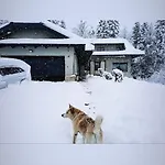 Lynx House *
