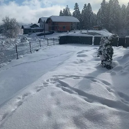 בית נופש Lynx House דלניצה