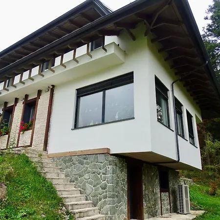 Lynx House דלניצה