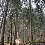 Lynx House Дом отдыха *