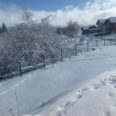 Lynx House 度假居 代尔尼采