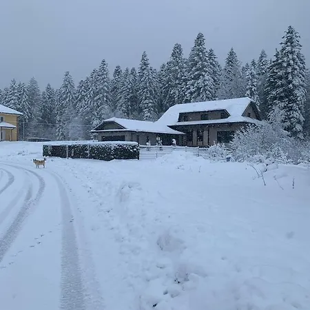 Lynx House