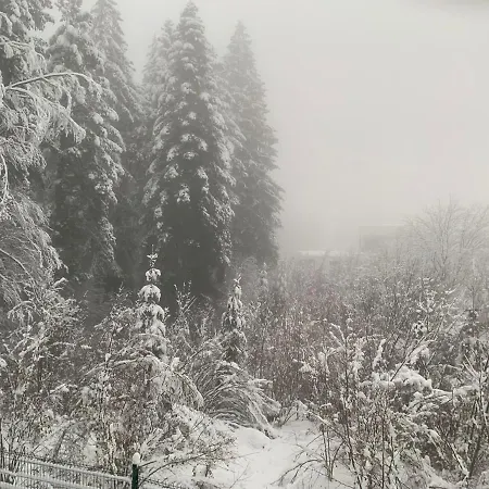 Lynx House 度假居 代尔尼采