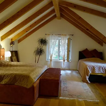 Lynx House 度假居 代尔尼采