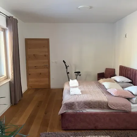 度假居 Lynx House 代尔尼采