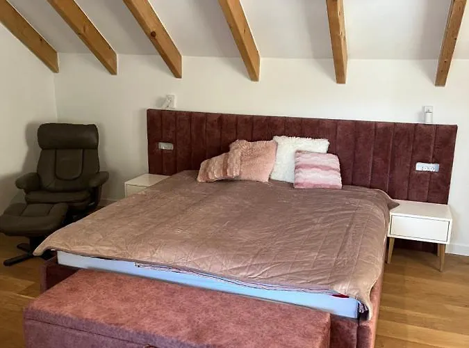 Lynx House 代尔尼采