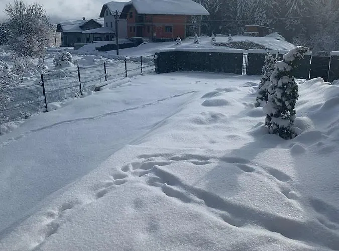 度假居 Lynx House 代尔尼采