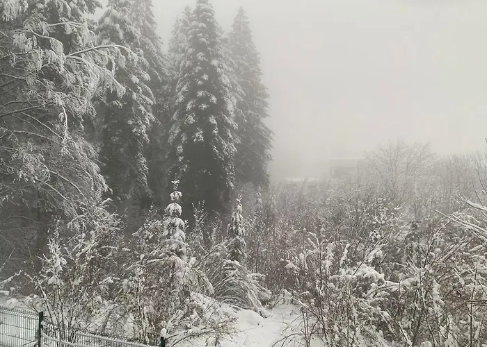 Lynx House 度假居 代尔尼采