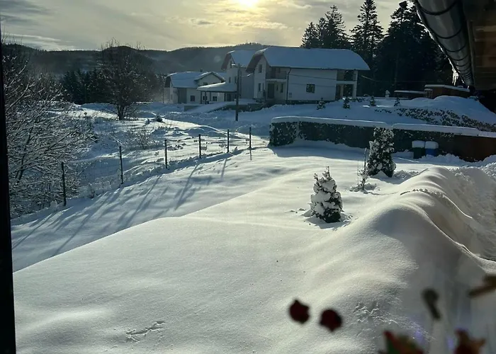 度假居 Lynx House